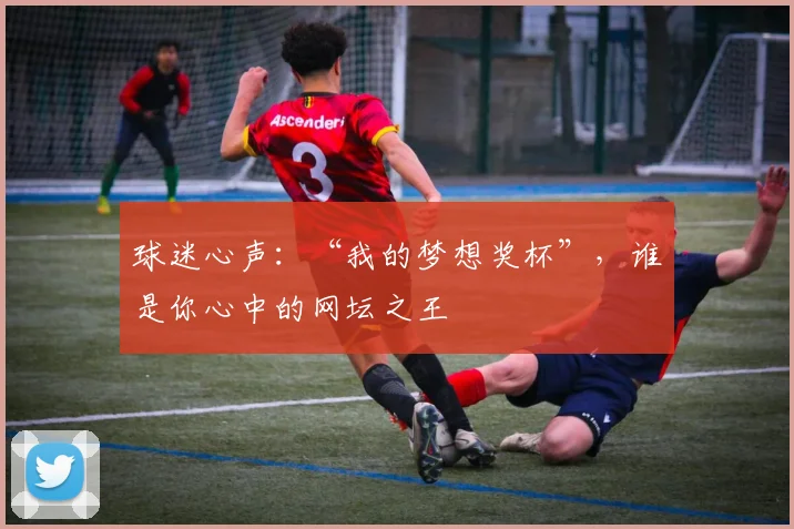 球迷心声：“我的梦想奖杯”，谁是你心中的网坛之王