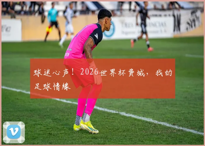 球迷心声！2026世界杯费城，我的足球情缘