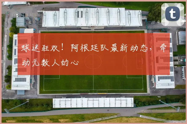 球迷狂欢！阿根廷队最新动态，牵动无数人的心